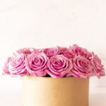 باکس گل (کپی)